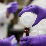 Mardi, les sénateurs socialistes ont révélé les résultats d'analyse de leurs cheveux où ont été détectés du mercure, des pesticides, des plastifiants et des métaux utilisés dans les smartphones, les "terres rares".